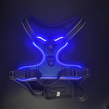 Arnés con luz LED azul talla XL