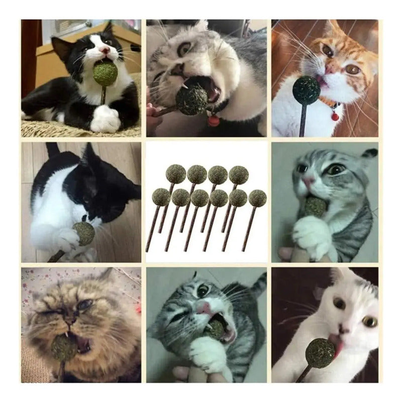 Juguete Para Gatos Paleta De Matatabi Y Catnip Lollipop