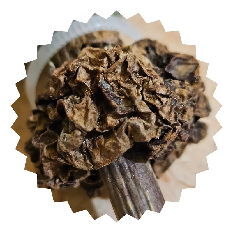 Paleta Gato Bio Line Lollipop Matatabi Catnip Hierba Gatera Marrón Claro