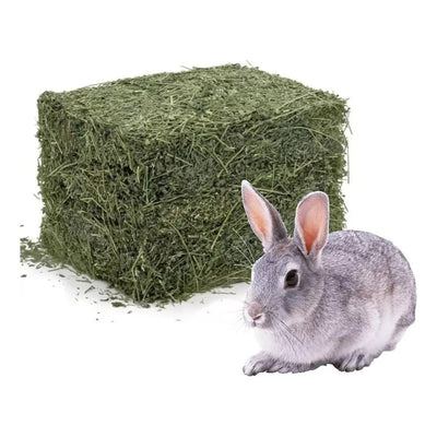 Heno de alfalfa 5 kg