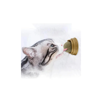 Juguete bola de catnip