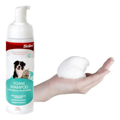 Shampoo espuma en seco