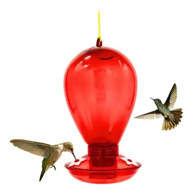 Bebedero colibríes rojo