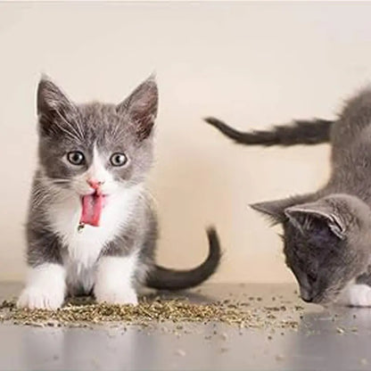 Hierba Gatera Hojas De Catnip 230 Ml / 20 Gr Para Gatos