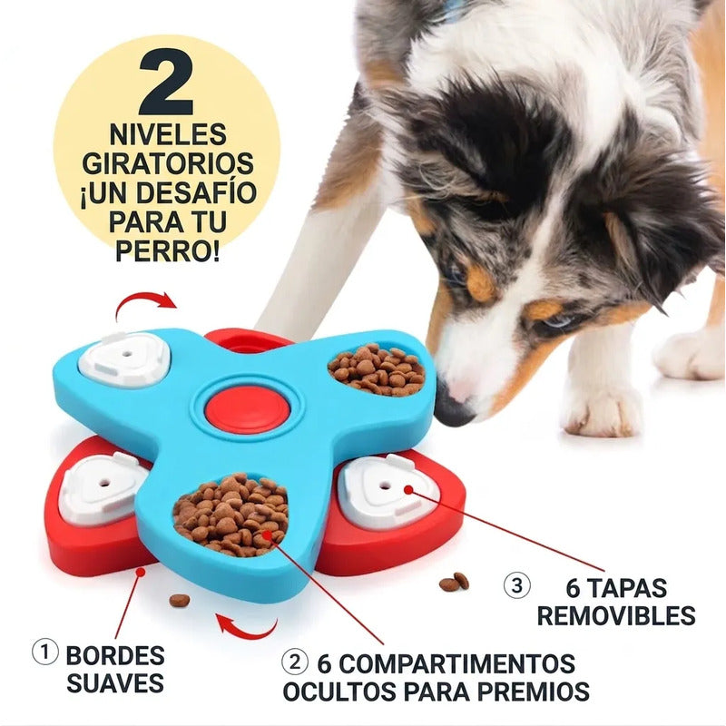 Plato interactivo