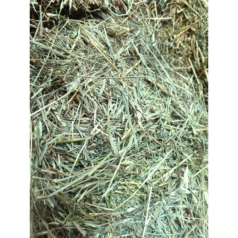 Heno de alfalfa 1 kg