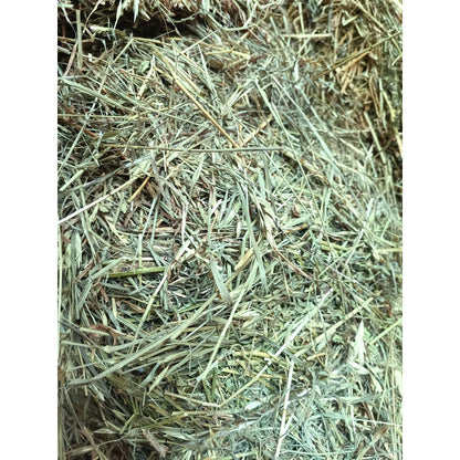 Heno de alfalfa 1 kg