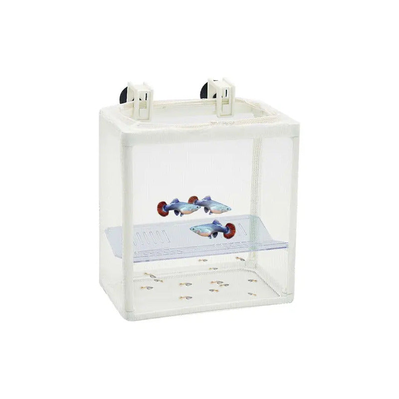 Caja paridera