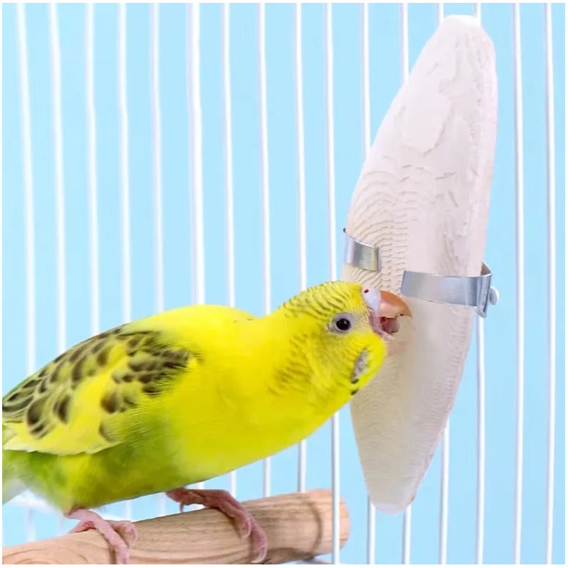 Hueso De Jibia Para Aves