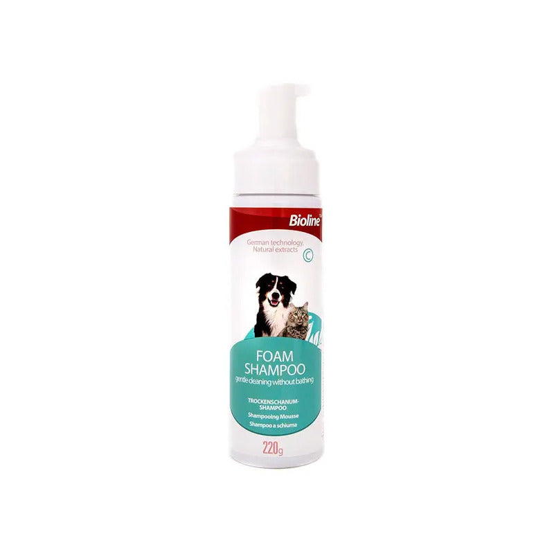 Shampoo espuma en seco