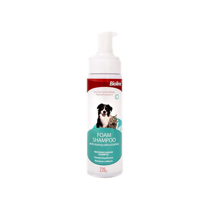 Shampoo espuma en seco