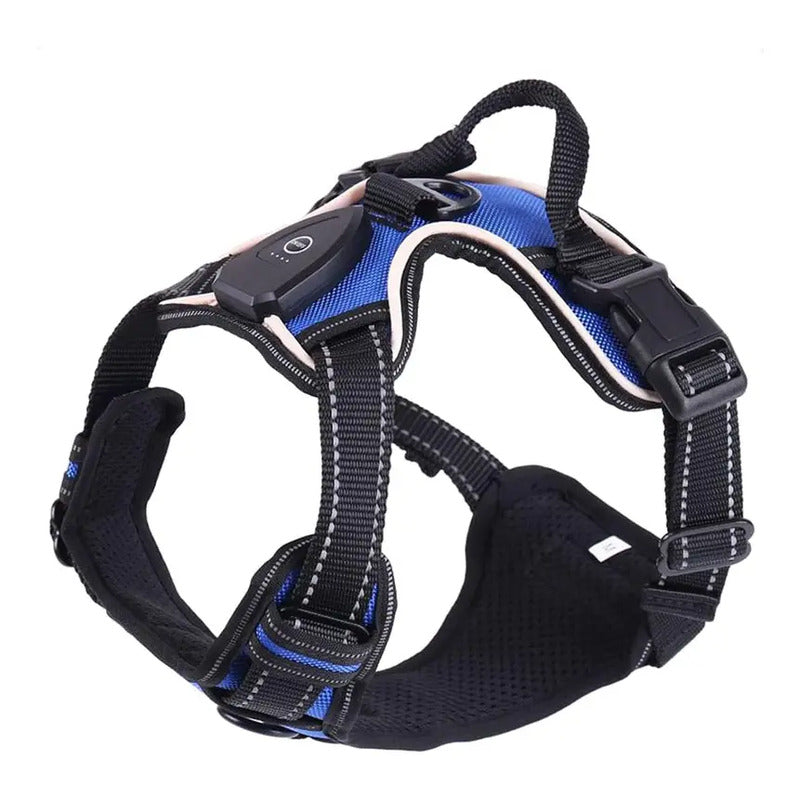 Arnés con luz LED azul talla XL