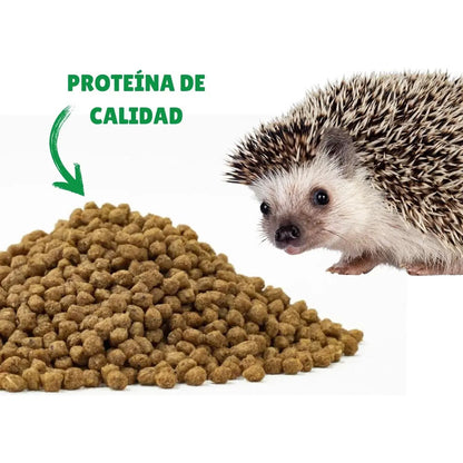 Alimento Spikes Dinner Para Erizos De Tierra 600 Gr