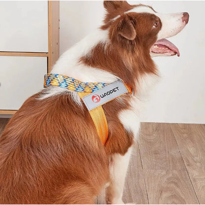 Arnés tipo T Wonder Dog talla S azul