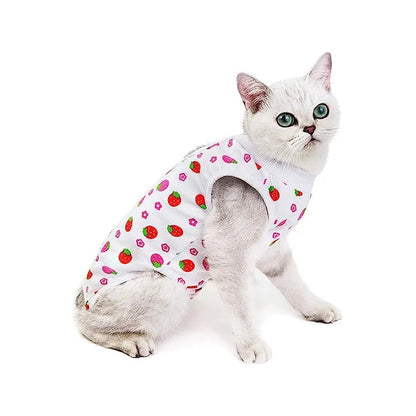 Body Post Operatorio Para Gatos Diseños Variados Talla S