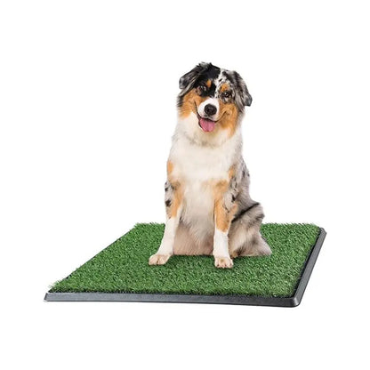 Baño Ecológico Para Perros Mediano