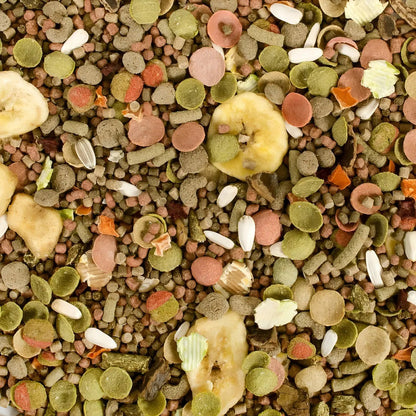 Alimento Cobayos Tropifit Guinea Pig 1.5kg Alfalfa Y Algarroba