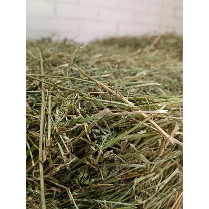 Heno de alfalfa 3 kg