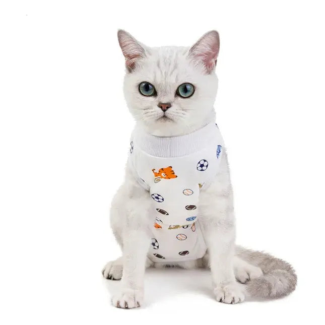 Body Post Operatorio Para Gatos Diseños Variados Talla Xl
