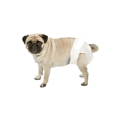 Pañal desechable Talla S