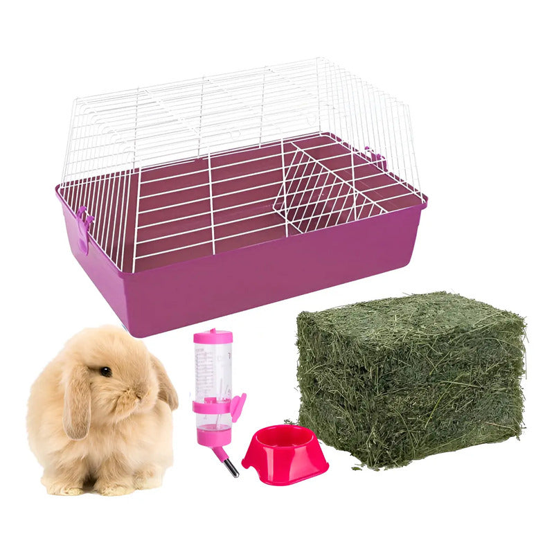 Kit mascotas pequeñas