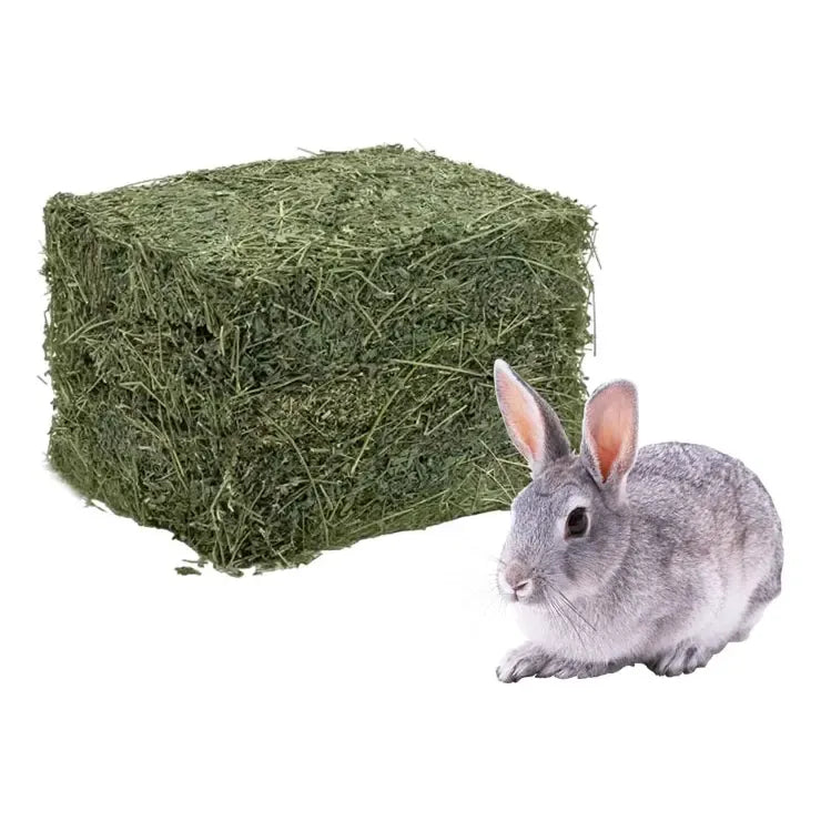 Pack Heno Alfalfa 1 Kg + Cubos Ballica 500 Gr Para Roedores