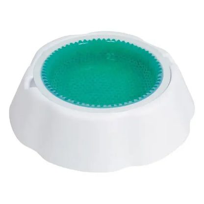 Plato refrescante mediano