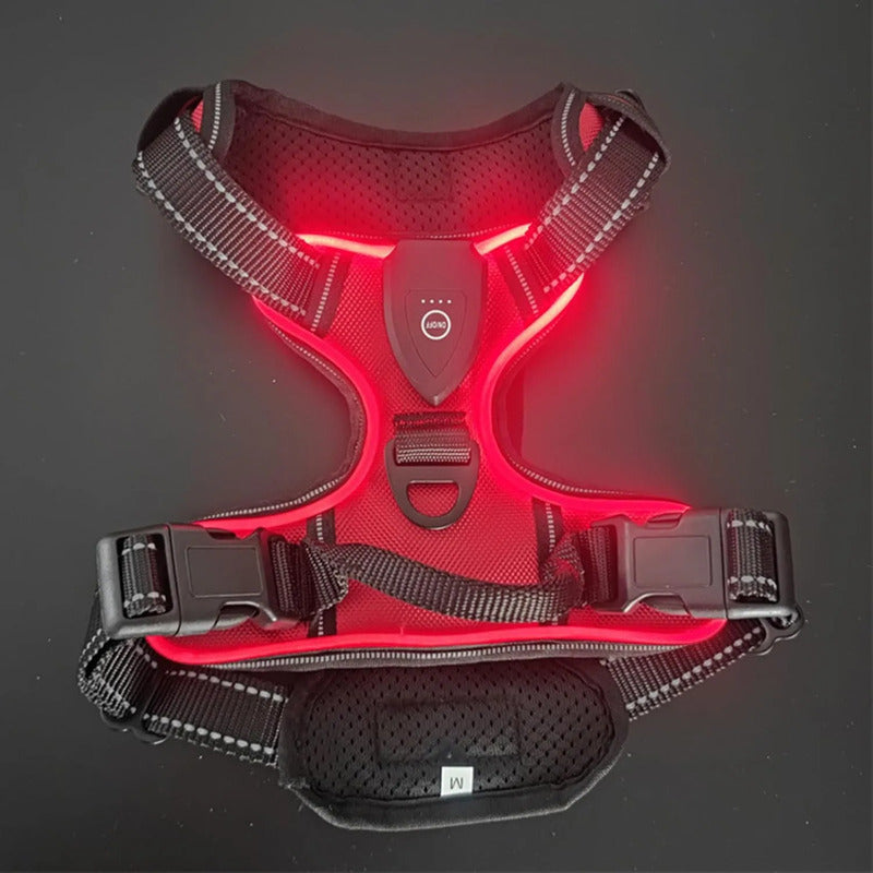 Arnés con luz LED rojo talla S