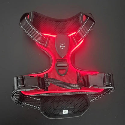Arnés con luz LED rojo talla S