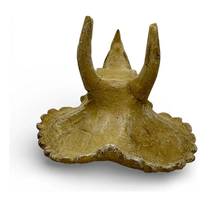 Adorno cráneo de triceratops