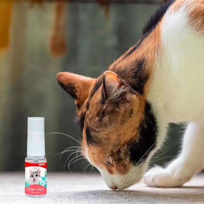 Spray catnip hierba gatera 15 ml